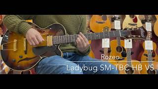 Rozeo Ladybug SMTBC HB VS LASTGUITAR [upl. by Ahsinrev]