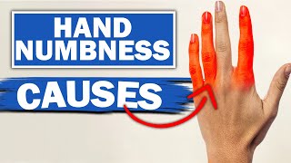 Expert Reveals MindBlowing Facts About Numbness amp Tingling In Fingers [upl. by Abbey]