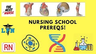 ADVICE FOR THOSE TAKING PREREQUISITES COURSES FOR NURSING [upl. by Bohun546]