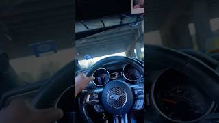 MUSTANG GT W BORLA CATBACK ASMR 🐎🔥😮‍💨 shorts [upl. by Perl]