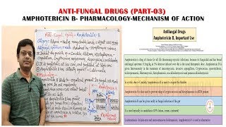 Antifungal Drugs Part03 Amphotericin B Pharmacology amp Mechanism of Action  Antifungal Medicines [upl. by Shulem]