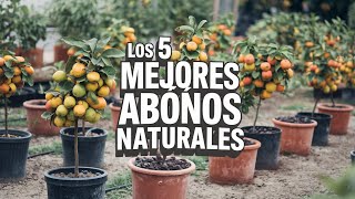 Los 5 MEJORES ABONOS orgánicos para tus plantas aplícalos hoy mismo [upl. by Atinaej179]