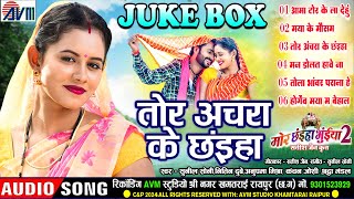 Mor Chhaiya Bhuiya 2  Cg Film Song  Tor Achara Ke Chhaiya  AudioJukebox  Man Diksha Elsa Deepak [upl. by Seif]