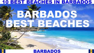 10 BEST BEACHES IN BARBADOS [upl. by Halika]