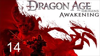 The Blackmarsh Undying  Dragon Age Origins  Awakening  Part 14 [upl. by Madelaine793]