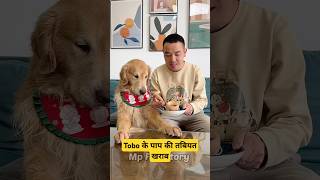 🐕Tobo के पापा की तबीयत खराब  mini wood toy  woodworking art skill  hand crafts shorts pets [upl. by Ogait]