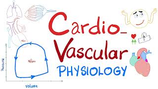 Cardiovascular Physiology  PressureVolume loops Cardiac Cycle ESV EDV SV CO Starling Law [upl. by Eilsew690]