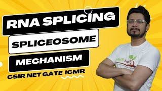 RNA splicing and processing  RNA splicing mechanism  spliceosome [upl. by Luwana]