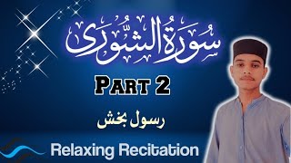 Surah AshShura Part 2  surah ashshura  Rasoolbux Rind [upl. by Labannah]