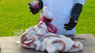 How To Make Elephant Toothpaste With Potassium Permanganate [upl. by Macfadyn]