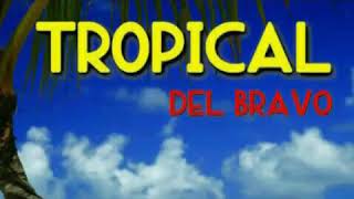 Tropical del bravo [upl. by Eneleahs]