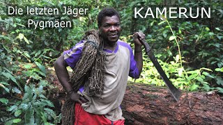 Die letzten Jäger  Pygmäen in Kamerun  2013  KAMERUNCameroon [upl. by Sesmar]