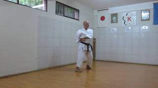 Naihanchi Sandan  Escuela Miyazato  Shorin Ryu Shidokan  Dojo Bariloche [upl. by Smoht]