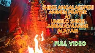 Shree Angalaesperi Ammen Prayer at Umbilo Shree Ambalavaanar Alayam amp Shree Draupaddiammen Alayam [upl. by Surbeck]