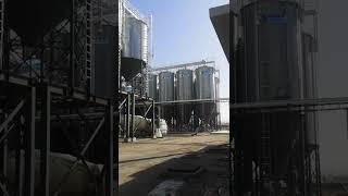 TSE SILO：Grain silo group project grainsilo silo tsesilo steelsilo [upl. by Airolg]