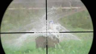 Scope cam 22lr test [upl. by Analli807]