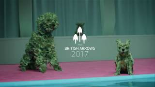 BRITISH ARROWS AWARDS 2017  YBCA [upl. by Goodden]