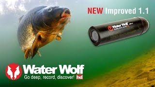 Water Wolf 11 Underwater HD Fishing Camera [upl. by Freida]