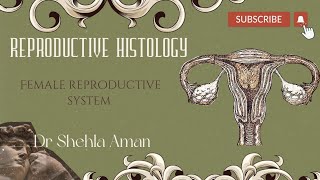 Reproductive Histology  Female Reproductive System  Dr Shehla Aman [upl. by Anaitak]