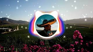 Pepe Aguilar  Perdono y Olvido Pop version Audio 2007 [upl. by Carolan]