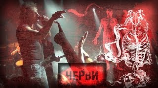 АлисА  Черви 2012 Неофициальный liveклип MultiCam [upl. by Katzir653]