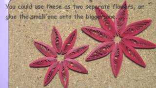 Megs Quilled Christmas Poinsettia 1m4v [upl. by Sonahpets654]