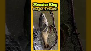 Monster King Caught In Crazy Boat Traffic On The Milwaukee River fishing milwaukee chinook [upl. by Lexine974]