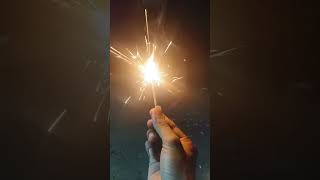 Diwali Celebration With Firecrackers🎆 an Friends❤️  दिव्य दीपोत्सव का भव्य उत्सव दीपावली 🪔 [upl. by Enila]