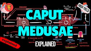 CAPUT MEDUSAE Pathogenesis of signs and symptoms in Medicine [upl. by Richmal]