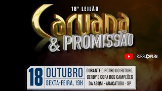 Leilão Fazenda Caruana amp Promissão [upl. by Hluchy]