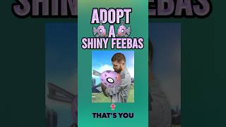 Providing The World With Shiny Feebas  Part Two  Teal Mask DLC [upl. by Mallory506]