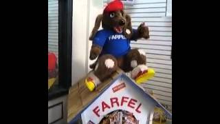 Farfel The Talking Nestle Dog [upl. by Ahsiekit]