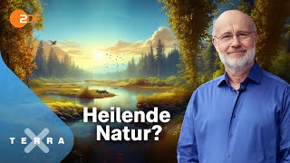 Harald Lesch  und die unterschätzte Klimachance  Terra X Harald Lesch Ganze TVFolge [upl. by Behn]