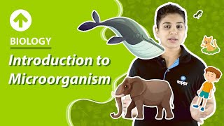 Introduction to Microorganism  Microorganism  Class 8 Biology [upl. by Araccat152]