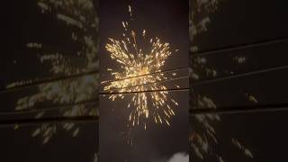 Cornation Best Sky Shot For Diwali 2024 😱 diwalistash cornation fireworks fireworkstesting [upl. by Natsuj]