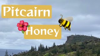 Pitcairn Island Pitcairn Honey 🐝 [upl. by Anid180]