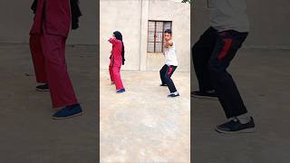 Kungfu basic training mohshin parvez kungfuwushu shorts shortvideo foryouシ martialarts [upl. by Maiah]