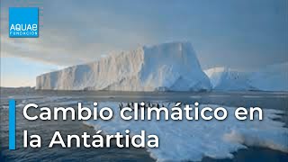 INVESTIGACIÓN del CAMBIO CLIMÁTICO desde la ANTÁRTIDA [upl. by Weisler]