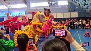 24nd Can Am Martial Atrs Championship Lion And Dragon Dance Competition [upl. by Neirb]