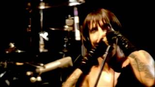 Red Hot Chili Peppers  Purple Stain  Live at Slane Castle [upl. by Onaicram]