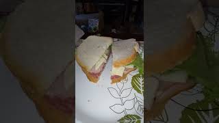 Eating Gordon Food Service Turkey And Salami Wayne County MI 102724 [upl. by Airdnaxila]