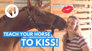 TEACH YOUR HORSE TO KISS easy trick training [upl. by Tali]