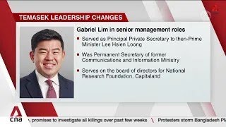 Temasek leadership changes Three new external hires to join senior management slate [upl. by Rotceh198]