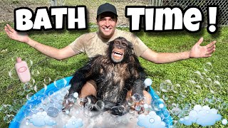 BABY CHIMPANZEE GETS A BUBBLE BATH  WHAT HAPPENS [upl. by Nicholson]