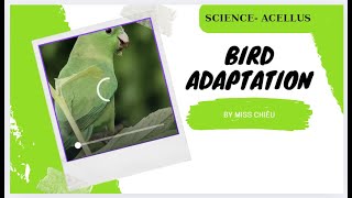 UNIT 16  BIRD ADAPTATIONS  SCIENCE  ACELLUS  GRADE 2 [upl. by Kara]