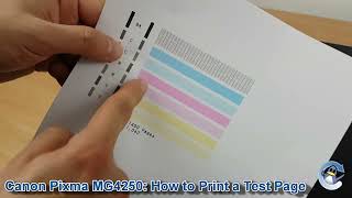 Canon Pixma MG4250 How to Print a Nozzle Check Test Page [upl. by Novick]