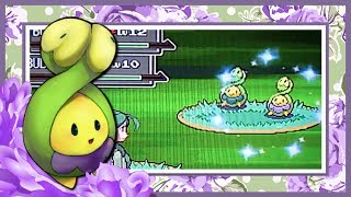 LIVE Shiny Budew in Platinums Eterna Forest after 1457 REs [upl. by Dublin]