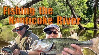 Fishing the Nanticoke River Delaware in Spring [upl. by Renaud]