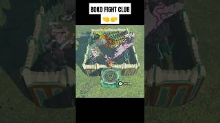 1st Day in BOKO FIGHT CLUB 🤜🤛 zelda tearsofthekingdom totk nintendo nintendoswitch gaming [upl. by Hashimoto]