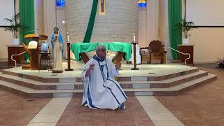 Fr Jim Blount SOLT Homily at Sacred Heart Conference June 17 2023 [upl. by Bertolde]